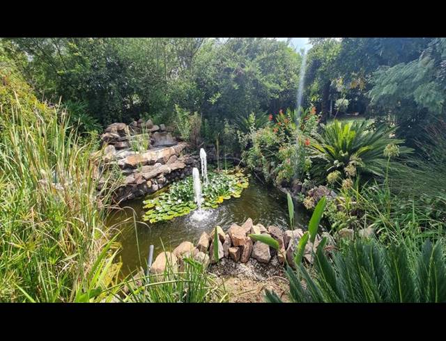 FARM FOR SALE IN MNANDI